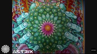 1200 Micrograms  Mescaline Astrix Remix [upl. by Aenahs]