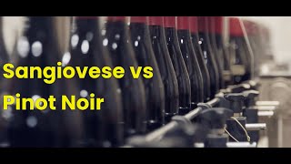 Savoring Sangiovese vs Pinot Noir Which Is Better🍷🍇🥂 [upl. by Ikkela]