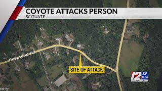 Dogwalker attacked by coyote in Scituate [upl. by Cheston]