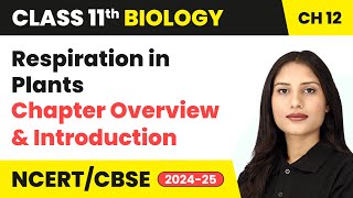 Respiration in Plants  Chapter Overview amp Introduction  Class 11 Biology Chapter 12  CBSE 202425 [upl. by Lukin590]