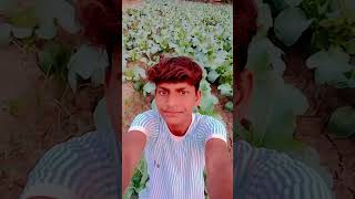 Chai 🍵 pini chhod deajeetkumarkk funny varshaofficial funnyvideos realfools trending shorts [upl. by Nazay]