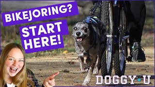 Bikejoring Equipment Training and Getting Started Biking with Your Dog [upl. by Dralliw]