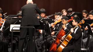 Perseus Newbold  Troy Concert Orchestra MSBOA District Festival 3152014 [upl. by Noivart358]