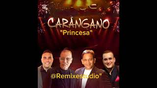 Princesa Grupo Carangano Canta Alfredo Cabrera Grabado y mezclado Remix estudio por Gerardo Faria [upl. by Liesa30]