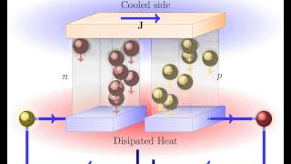 Peltier Effect Thermoelectric cooling [upl. by Ahseyk]