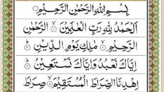 surah Fatiha recite Quran islamicstatus recitethequran beautifullquran [upl. by Alolomo591]