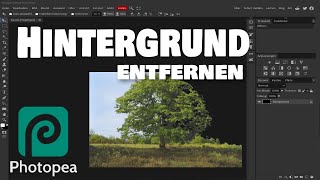 Photopea  Hintergrund entfernen remove background [upl. by Maurer]