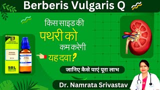 Berberis Vulgaris Q  Berberis Vulgaris Homoeopathic medicine Uses Benefits of Berberis Vulgaris [upl. by Navad]