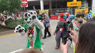 Anthrocon 2019  Fursuit Parade [upl. by Keyte96]