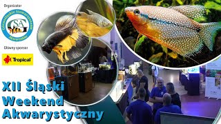 Dawno tego nie bylo OO wystawa akwarystyczna aquarium wysatwa aquascape [upl. by Einad]