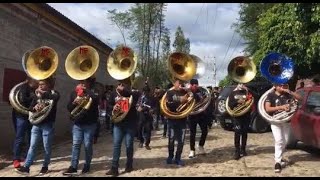 Inicio de la muerteada 2019 Guadalupe Etla [upl. by Nnairet160]