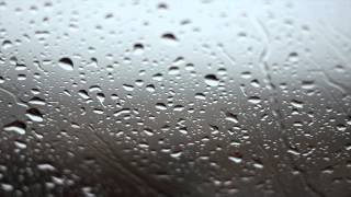 Rainy Day Background Video  No Sound [upl. by Knobloch]