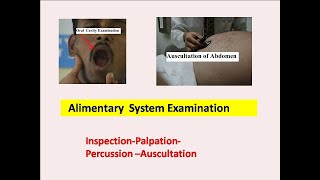 Alimentary System Examination l  Ayurveda Academy l Fluid Thrill [upl. by Quarta444]