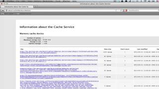 How to Read the Cache for Mozilla Firefox on Your Computer  Mozilla Firefox Tips [upl. by Devine]