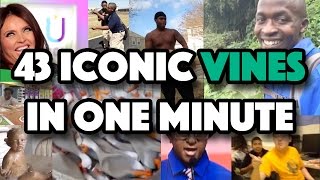 43 Iconic Vines in One Minute THE VINE SONG [upl. by Johns]