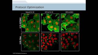 Analysis of Cellular Signaling by Fluorescent Imaging and Flow Cytometry [upl. by Durman]