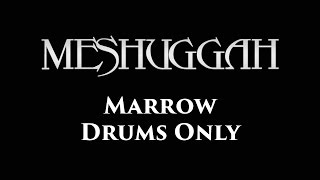 Meshuggah Marrow DRUMS ONLY [upl. by Arbrab474]