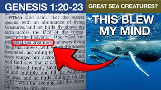 This Explanation Proves Litral Creation  4K  Bible Blue Planet  Genesis 12024 [upl. by Drawe]