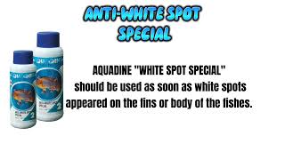 AquadineAntiWhite Spot SpecialFish care specialistHow to use [upl. by Charpentier]