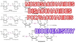 Monosaccharide disaccharide polysaccharide isomer ❤️ [upl. by Rogozen]