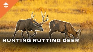 The most thrilling Colorado Mule Deer Hunt [upl. by Scever]