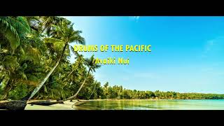 DRUMS OF THE PACIFIC  Avaiki Nui  COOK ISLANDS MUSIC [upl. by Brady]