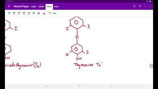 SYNTHESIS OF THYROID HORMONES [upl. by Abagael471]