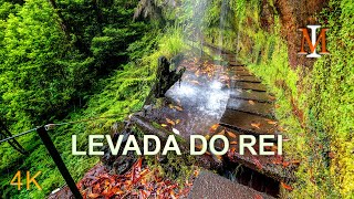 PR18 Levada do Rei  One of the Most Beautiful Levadas in Madeira Island [upl. by Retla]