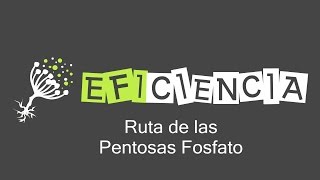 RUTA DE LAS PENTOSAS FOSFATO  Eficiencia Metabolismo [upl. by Annuhsal]