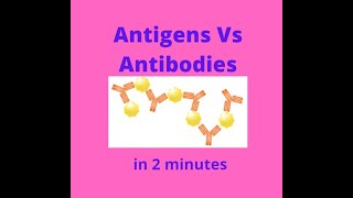 Antigens vs Antibodies in under 2 mins [upl. by Airemat506]