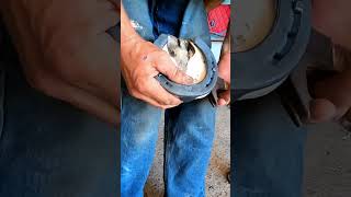 Forging and replace horseshoes horse hooves [upl. by Anagnos]