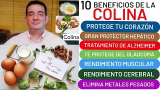 10 beneficios de la❤️ COLINA❤️ trata el ALZHEIMER👏 y PÁRKINSON👍 GLAUCOMA👍 CORAZÓN💖 HÍGADO GRASO🙏 [upl. by Aliled]