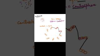 Centriole diagram explained neetbiology apbiology exam [upl. by Atsahc]