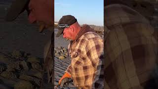 Clam Digging Tip from a local Clammer  DirtFlushing [upl. by Nwahsek]