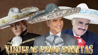 SUS MEJORES BALADAS ROMÁNTICAS DE VICENTE FERNANDEZ  ALEJANDRO FERNANDEZ Y PEDRO FERNANDEZ MIX [upl. by Rudwik]