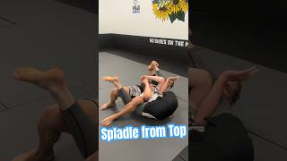 Spladle from top position grappling wrestling ufc mma jiujitsu bjj nogi spladle martialarts [upl. by Pegg]