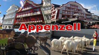 Appenzell  Unique beautiful village cows parade [upl. by Donatelli107]