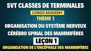 COURS SVT TS2 LONDO AKADEMY  THÈME 1  LEÇON 1  ORGANISATION DE L’ENCÉPHALE DES MAMMIFÈRES [upl. by Ardnassela]