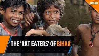 The Rat Eaters of Bihar Indias poorest people [upl. by Nowahs553]