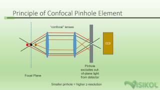 Confocal Microscopy Tutorial [upl. by Procter]