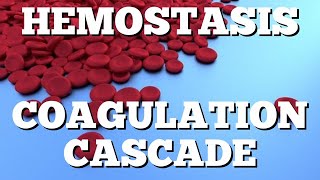 Secondary Hemostasis Coagulation Cascade Animation Made Easy [upl. by Gunnar]