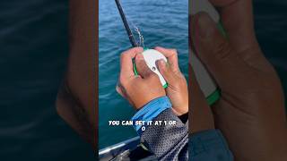 Dipsy Divers are a great way to get your lines down deep without downriggers fishing [upl. by Enomal]