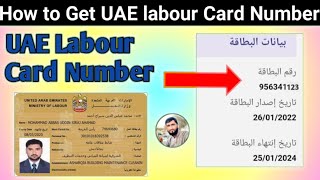 How To Get UAE Labour Card Number Online From MOHRE App [upl. by Cirdla]