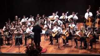 Czardas V Monti  Orquestra de Bandolins da Madeira [upl. by Neelahtak429]