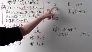 【中1 数学】中118 項と係数 [upl. by Alvy]