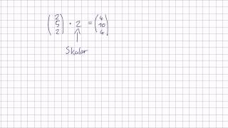Mathematik für Informatik Studenten 67  Vektoren  Skalarenmultiplikation [upl. by Sperry]