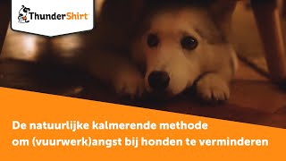 ThunderShirt  De natuurlijke kalmerende methode om vuurwerkangst bij honden te verminderen [upl. by Cirded461]