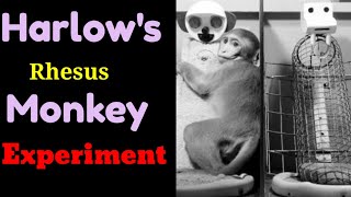 Harlows Rhesus Monkey Experiment  Spot Psychology [upl. by Morten117]