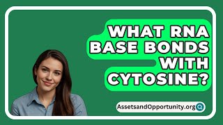 What Rna Base Bonds With Cytosine  AssetsandOpportunityorg [upl. by Areehs513]