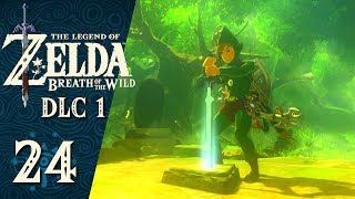 Zelda Breath of the Wild 24 FR DLC 1  Épreuves de lépée  costumes [upl. by Avie159]